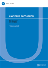 Anatomía bucodental