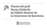 Plànol del jardí de l’Edifici Històric de la UB